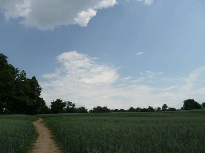 panorama